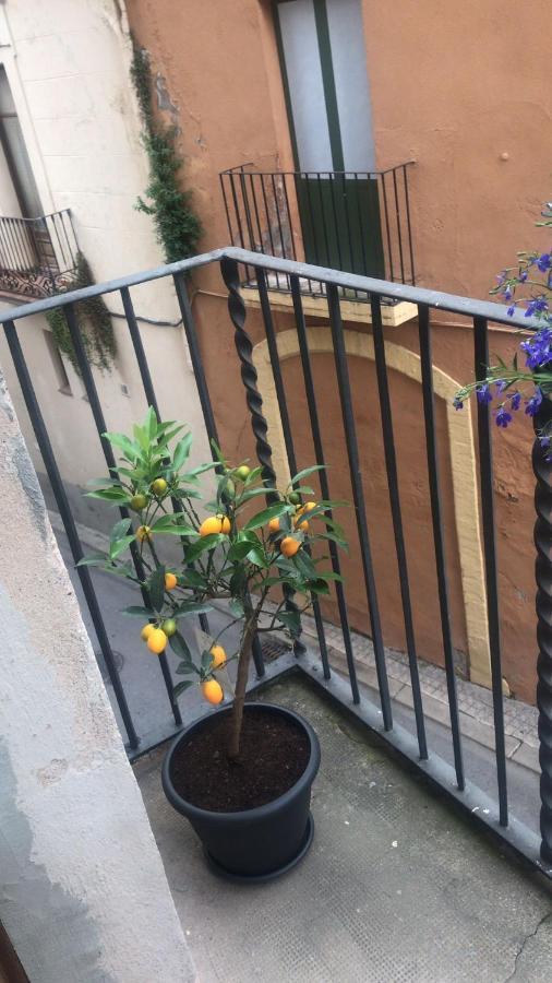 דירות Habitacio Polivalent Al Centre De מנרסה מראה חיצוני תמונה